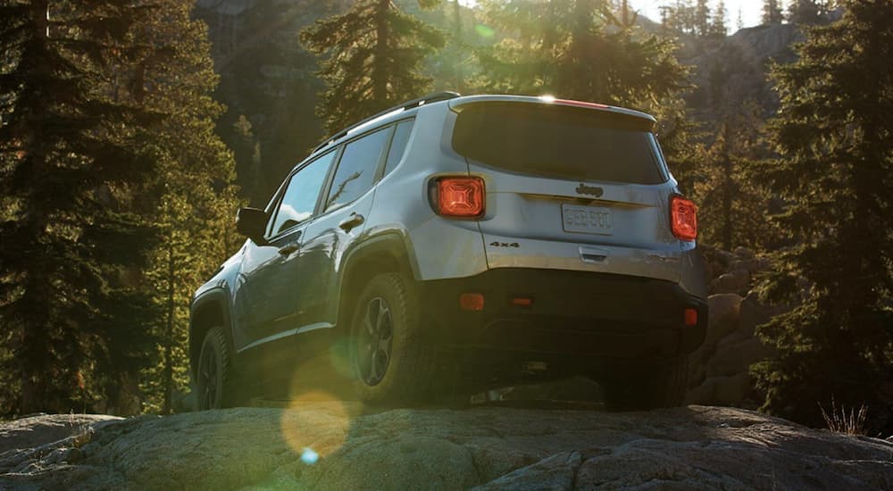 Rear view of a Certified Pre-Owned silver 2019 Jeep Renegade parked in the forest.