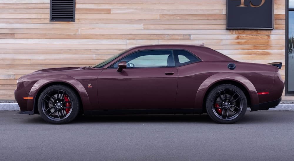 A purple 2023 Dodge Challenger Scat Pack is shown from the side while parked.