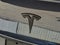2021 Tesla Model 3 Standard Range Plus Rear-Wheel Drive