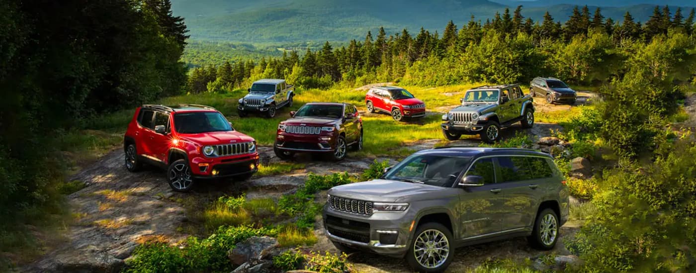 The lineup of 2021 Jeep vehicles are parked on a mountain top.